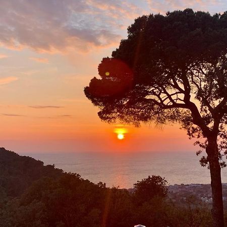 Villa Gemma Livorno Zewnętrze zdjęcie